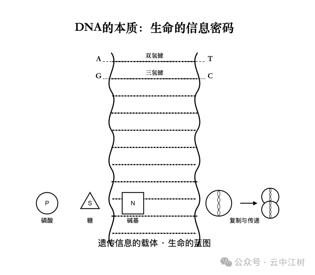 Claude 是懂本质的 配图 7