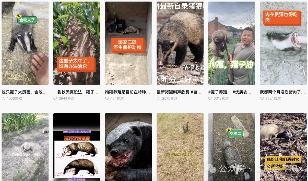 AI落地行业的一些“乱七八糟”的小技巧 配图 4