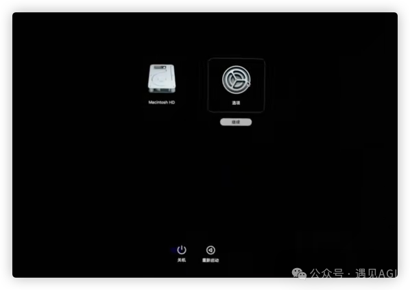国行 Mac 解锁开启 Apple Intelligence 免费使用 ChatGPT plus 教程篇 配图 5