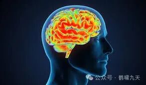 Agent技术解读：Memory记忆模块 配图 12