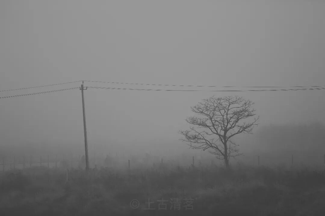 拨开MCP的迷雾，聊聊LLM工具调用的本质（二）：Prompt和API限定法
