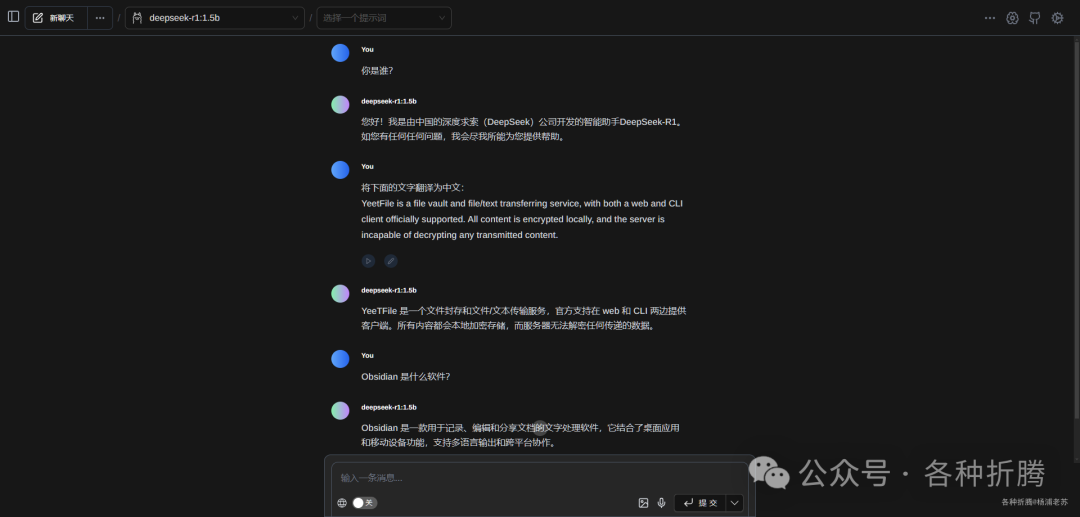 群晖上私有化部署DeepSeek-R1 配图 13