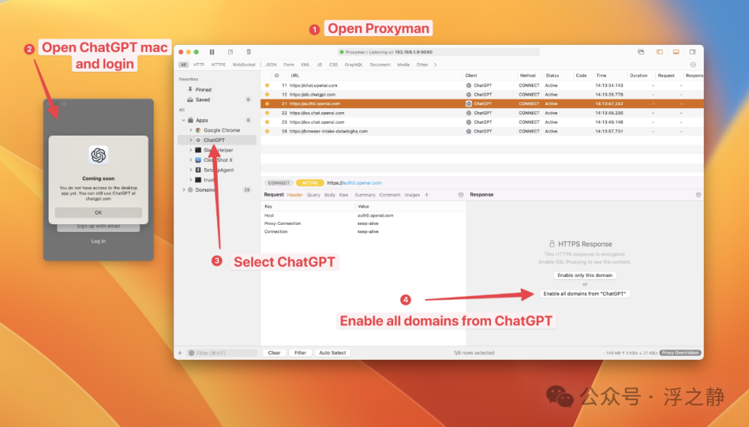 使用教程：官方 ChatGPT 桌面应用 配图 5