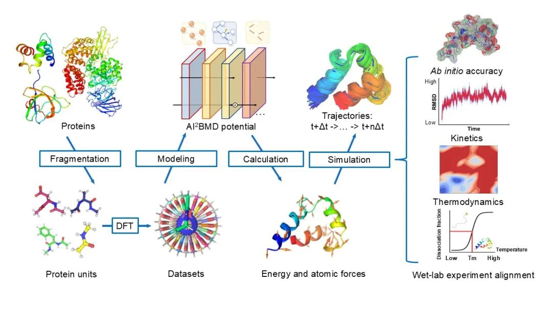 AI2BMD登上Nature，以量子级精度推进蛋白质动力学 配图 4