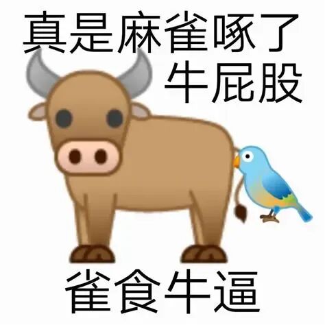 真是麻雀啄了牛屁股雀食牛逼 歇后语表情包图片 《“雀食牛逼”：小鸟啄牛屁股的搞笑表情包》表情包图片gif动图 - 求表情网,斗图从此不求人!