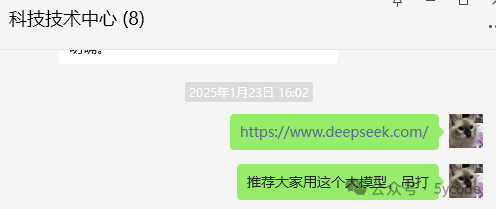 一场技术突围战：DeepSeek如何让我扔掉百度飞桨和阿里OCR？ 配图 4