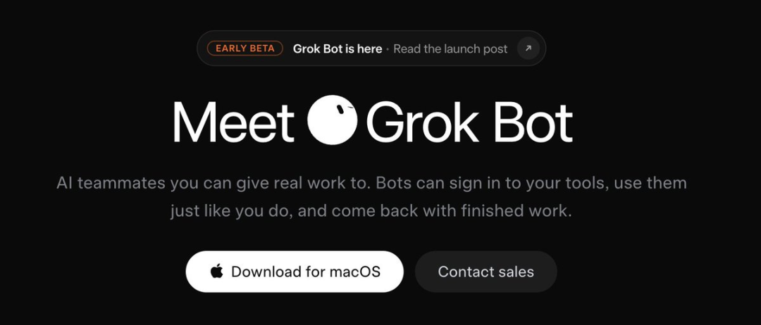 Grok Bot 使用指南 配图 2