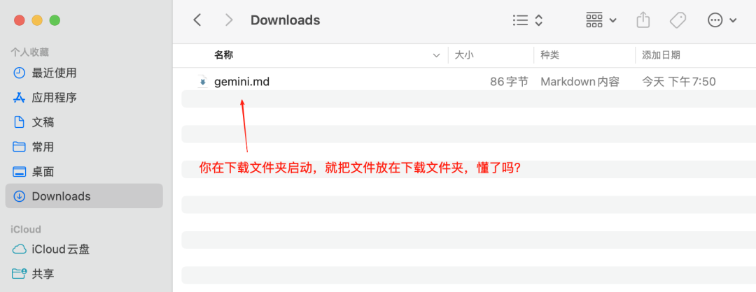 国内本地部署Gemini CLI，苹果电脑更丝滑，开发者彻底狂欢 配图 5