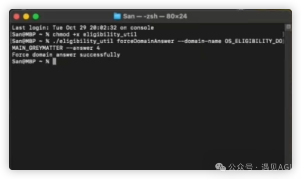 国行 Mac 解锁开启 Apple Intelligence 免费使用 ChatGPT plus 教程篇 配图 13