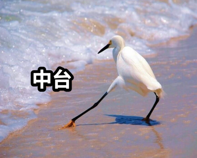 MCP，这个AI 开源协议有多大想象空间？ 配图 10