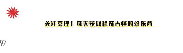 国内直连！设计界首个“越用越懂你”的AI来了