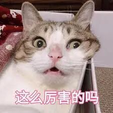 微软Office全家桶再爆办公革命，o1模型加持重塑十亿人工作流！1句话生成PPT+自定义智能体 配图 8