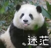 迷茫表情包图片- 求表情网,斗图从此不求人!