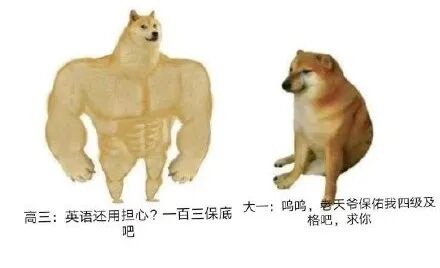 豆包AI全攻略：八大功能详解与实操指南 配图 3