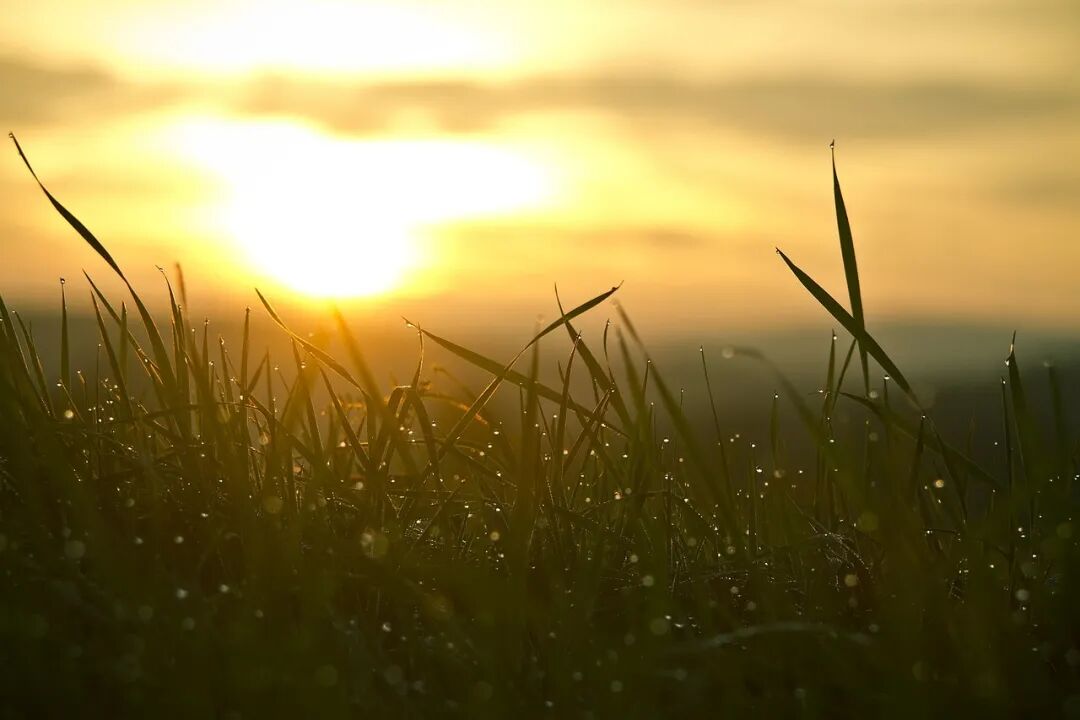 智能客服