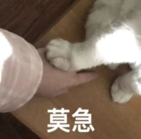 一位网友逆向破解了 ChatGPT 记忆系统，给我干破防了 配图 3