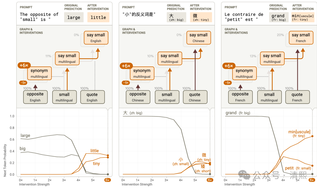 揭秘AI内部机制：AI理解的重大突破 配图 9