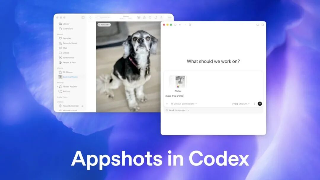 Appshots 演示图