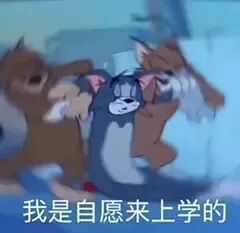 老潘的思考（AI部署、方向、就业）! 配图 6