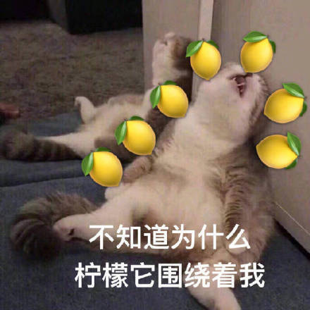 DeepSeek V4还能更省！新工具缓存命中率高达99.82%，2折稳定到手 配图 9