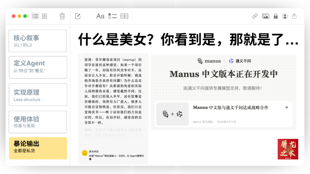 Manus，没有秘密 配图 67
