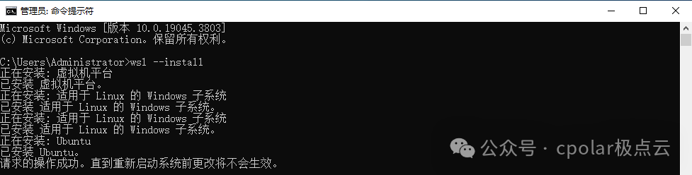 Windows安装Ollama结合内网穿透实现公网访问本地大语言模型web交互界面 配图 10