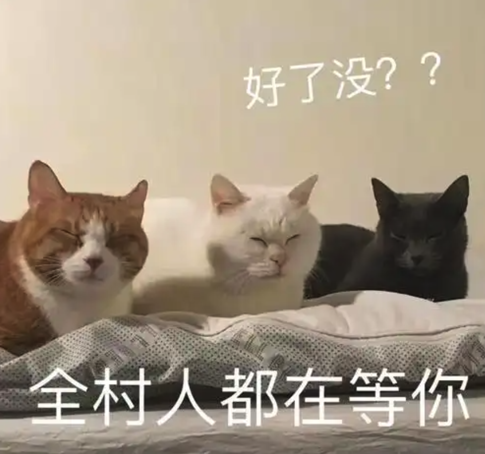体验完罗永浩全新的“初创项目”，我只能说有点难顶。。。 配图 27