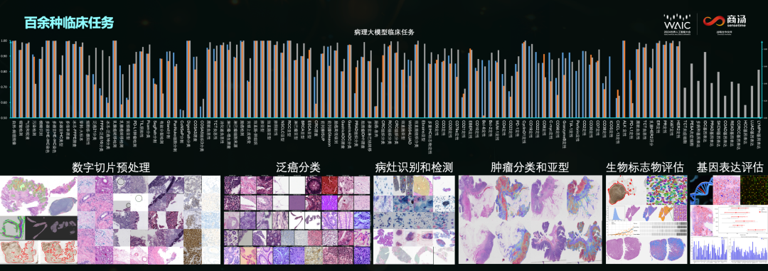 为医院装载“超级大脑”，商汤启动医疗多模态大模型赋能的智慧医院标杆联合共创 配图 5
