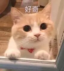 原来AI搜索，百度这么搞 配图 7