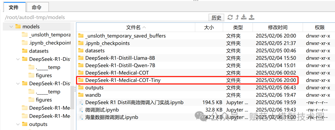 这可能是全网最保姆的DeepSeek微调教学 配图 8