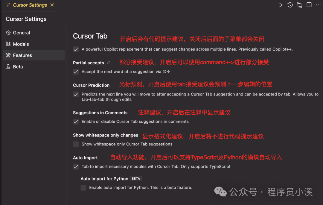 【Cursor】Cursor编辑器的设置详解 配图 8