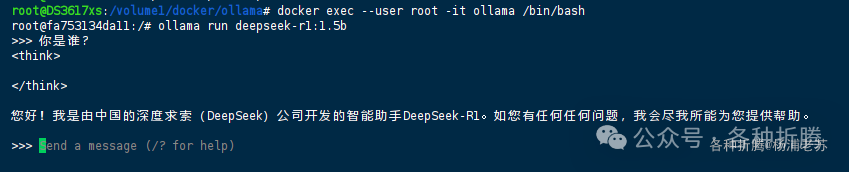 群晖上私有化部署DeepSeek-R1 配图 3