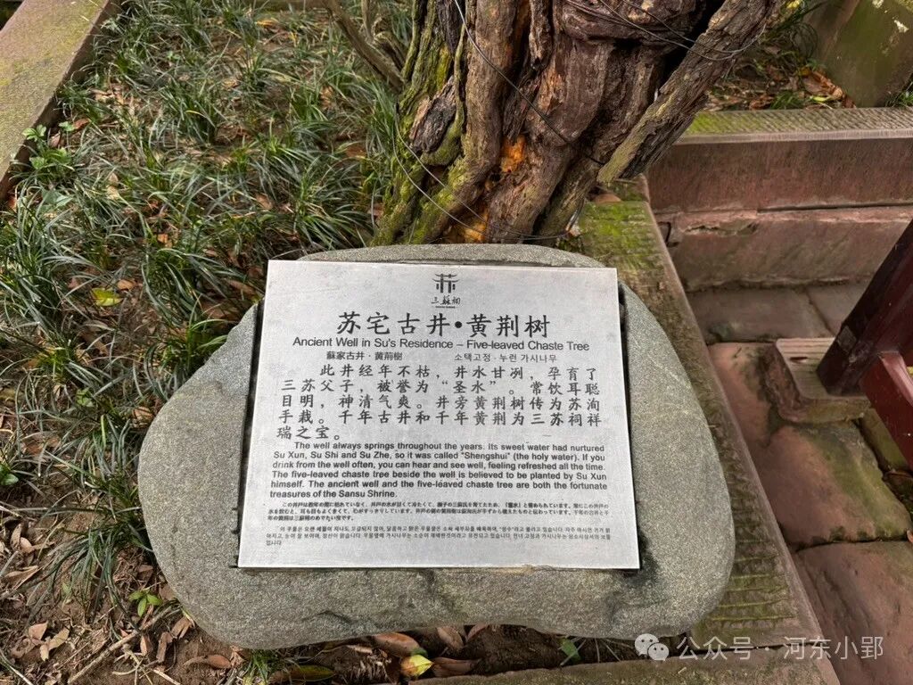 【24/100个AI应用体验】graphRAG，解释下苏东坡为什么乐观