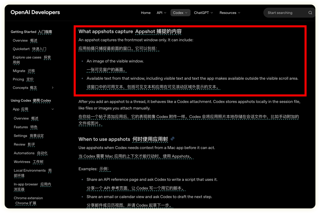 codex官方推荐的10个实用技巧，用完效率翻倍 配图 8
