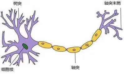 Transformer到底解决什么问题？ 配图 3